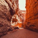 Rediscovering the Great Outdoors: Embracing Nature for a Healthier Mind and Body