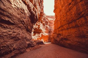 Rediscovering the Great Outdoors: Embracing Nature for a Healthier Mind and Body