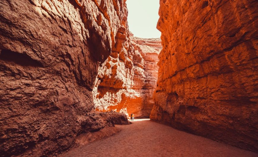 Rediscovering the Great Outdoors: Embracing Nature for a Healthier Mind and Body
