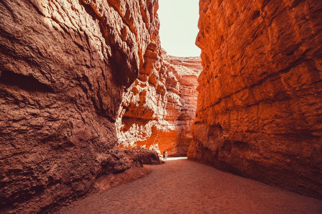 Rediscovering the Great Outdoors: Embracing Nature for a Healthier Mind and Body